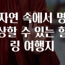 수힐링 티스토리