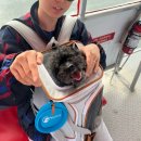 워홀 일상🇨🇦] D+185~189ㅣ딥코브(Deep cove) 구경, Honey doughnuts후기, 그랜빌아일랜드 나들이...