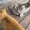 지에스(GS)25태안만리포점 이미지