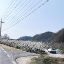 수담농장 이미지