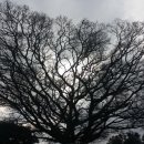 소길리 경로당 이미지