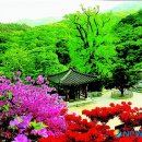 용문산 관광지 이미지