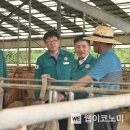 김제시장 이미지