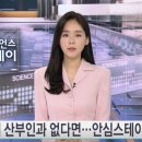 품안애 스테이 이미지