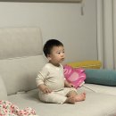 기브유케이크