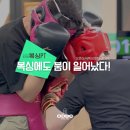 ODBC 오픈도어복싱센터 이미지