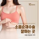 소음순재수술병원 잘하는 곳 비용 정찰제 가격 (강남여성의원 클로버산부인과 여의사)