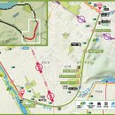 종합운동장 메타세콰이어길 이미지