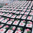 NH농협은행 강남동지점 | NH농협은행 부산대학교지점 40돌 기념 케이크 &amp; 답례떡 제작 후기