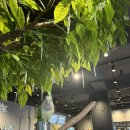 크레이쥬 이미지