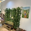 숲속애견샵 | [용인] 실내·실외 운동장 숲속 힐링 용인 애견카페 테일즈파크 솔직후기 (주차, 메뉴,룸예약)