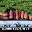 흙소리 | 당근 편식하는 아이도 반한 맛! 제주 구좌 흙당근 솔직 후기