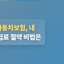 캐롯독 | 케롯자동차보험, 내 차 보험료 절약 비법은?