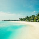 몰디브의 아름답고 싱그러운 해변 이미지