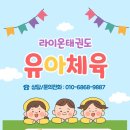 라이온 태권도 이미지