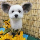 파피용
