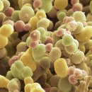 서울마디의원 이미지