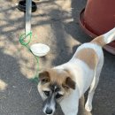 (주)대한씨엔엠 이미지