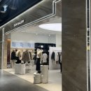 와이와이존 이미지