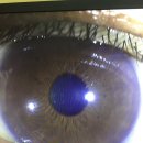 부여한의원 이미지