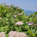 2025.7/5(토) 화천 청정 오지 속 섬마을 비수구미계곡 이미지