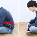 애룰바디 이미지