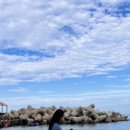 한진호스텔 이미지