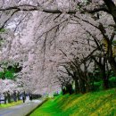 별량남초등학교 이미지