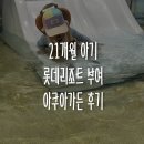 아쿠아펜션 - 36158 | 21개월 아기와 롯데리조트 부여 아쿠아가든 후기｜준비물·이용방법