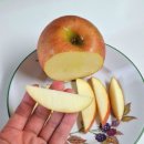 과일아쥬스해 | 아니 이게 쥬스용이라고? 아침엔과일 못난이사과 직접 먹어본 솔직후기