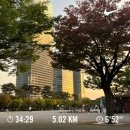 둘둘치킨여의도공원점