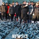 부산공동어시장 이미지