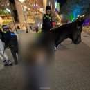 (주)뉴팜 | [호주 워홀 w7] 노느라 지쳤잖아 | 펠롱즈런, 뉴팜 피크닉, 잇스트릿 노쇼어, 썬샤인코스트, 제임스...