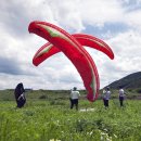 버드스쿨 이미지