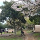 모구리야영장(가족영지) 이미지