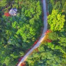 배롱나무길 이미지