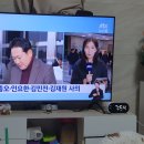 내란의 힘 장동혁, 진종오,인요한, 김민전, 김재원 사의 이미지