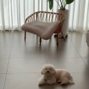 보나미용샵