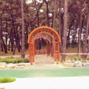 송림임업 - 제천시 | 송림임업