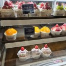 강남-062 | 생과일이 안까지 듬뿍! 신세계 강남 스위트파크 케이크 맛집[SLYFOX 슬라이폭스]