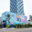 투지인터내셔널 Daum카페