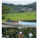 참숯통갈비 이미지