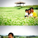 안현농장 이미지