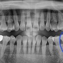 서울하이탑치과의원 이미지