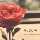자기봄