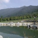 꿈의궁전 이미지