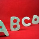 An artist can not speak about his art any more than a plant can discuss horticulture. 이미지