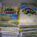 고려태권스쿨 이미지