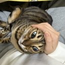 (주)웨이포인트 이미지