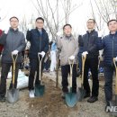 희망나무심기6 이미지